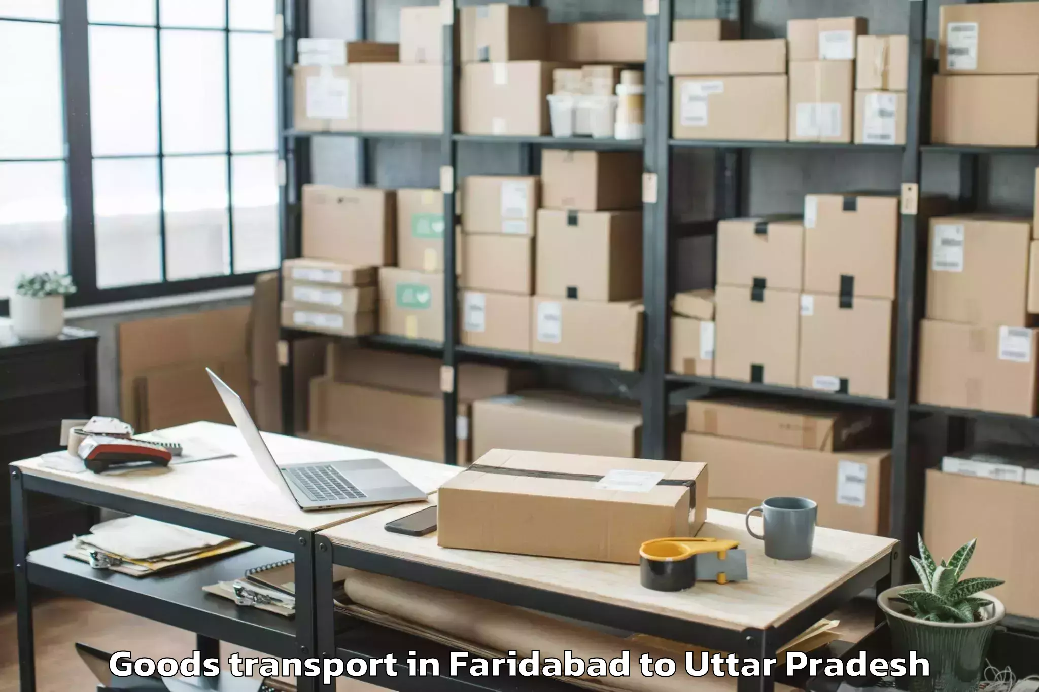 Expert Faridabad to Gaur City Mall Greater Noida Goods Transport